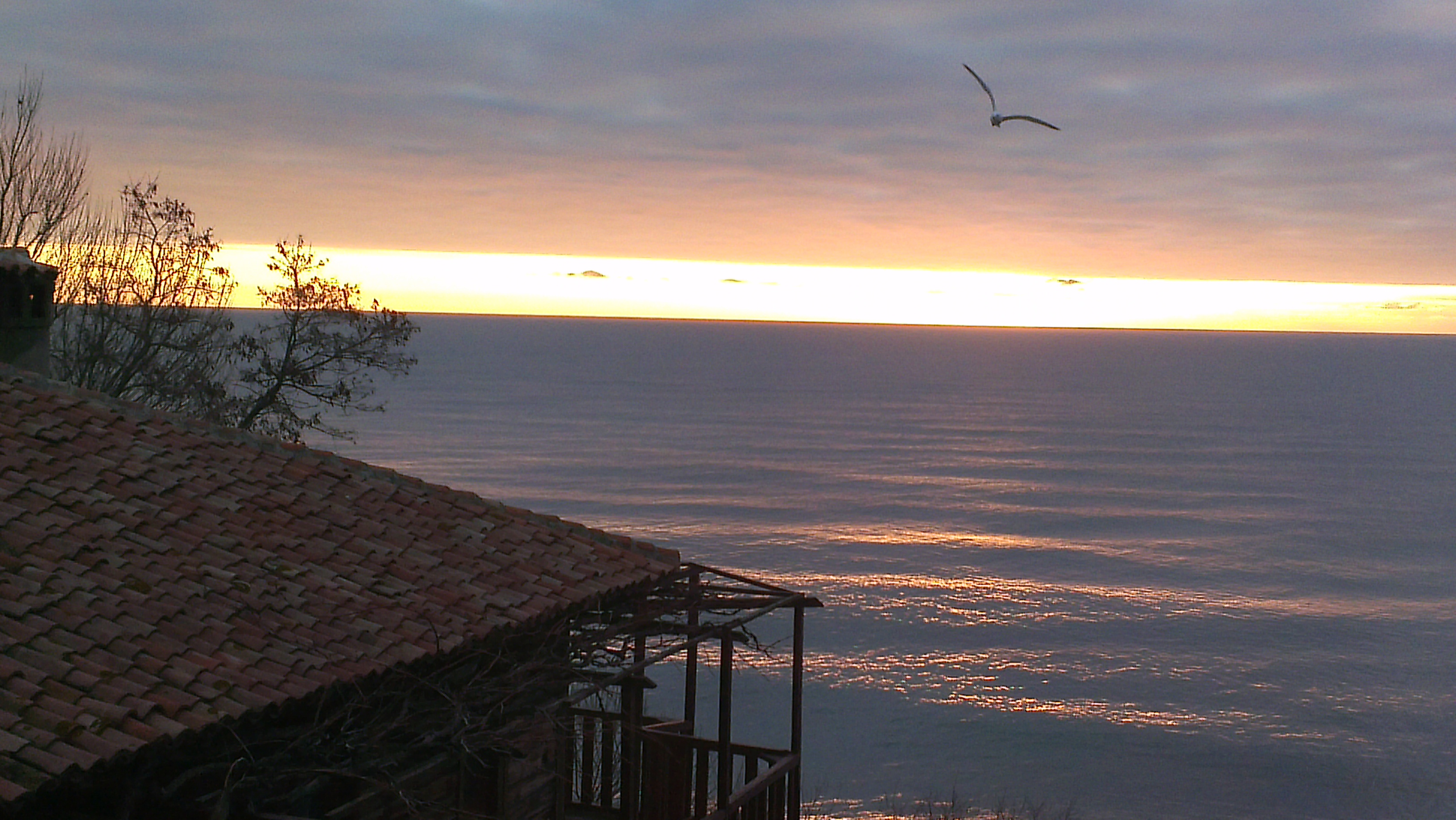 sea morning
