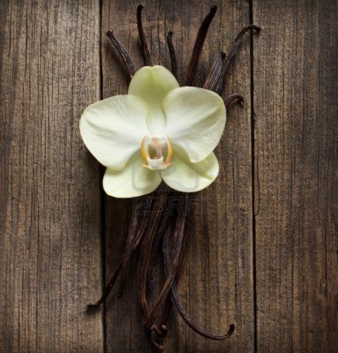 vanilla-sticks