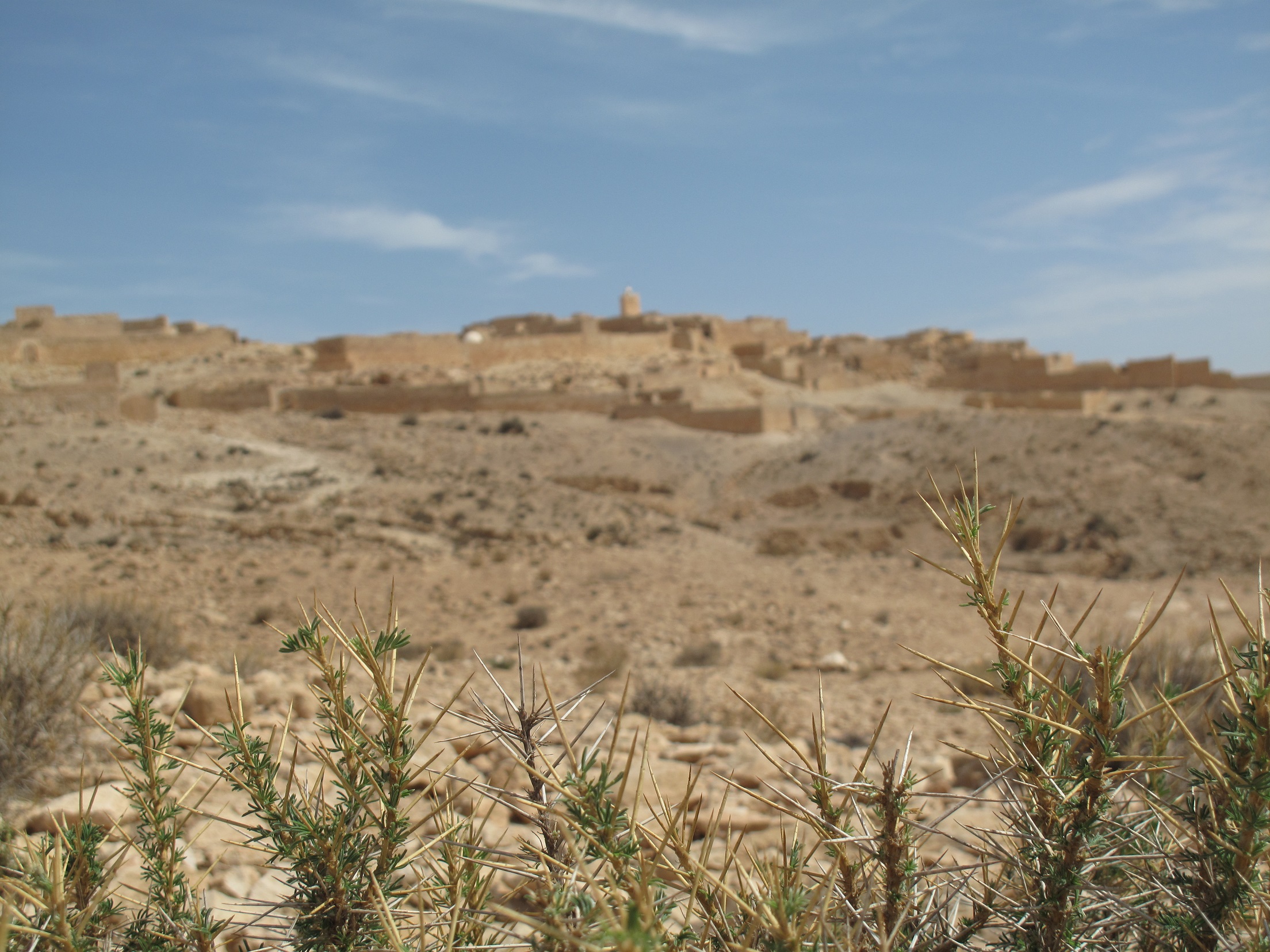 Desert