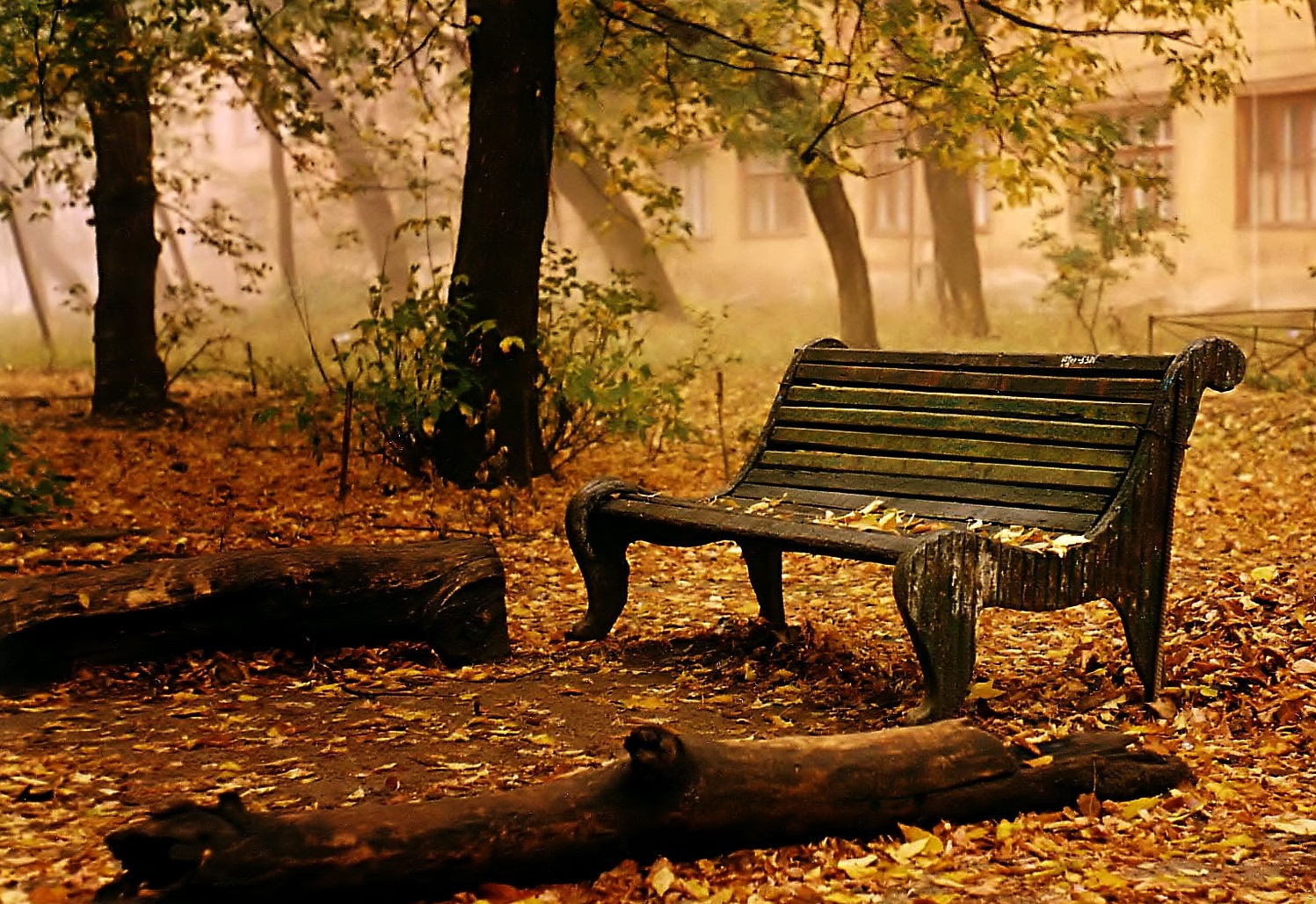 Autumn_Bench