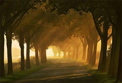autumn-road