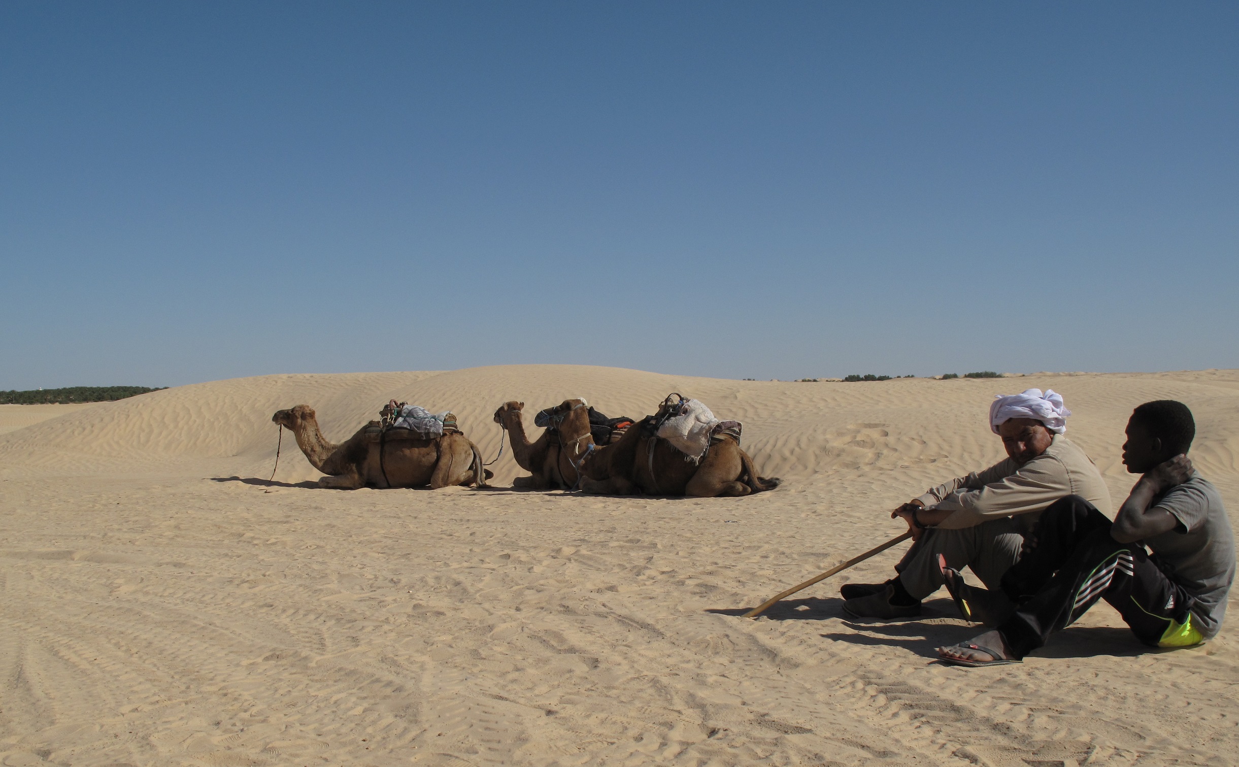 Tunis Sahara