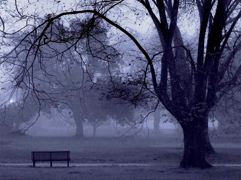 misty-park