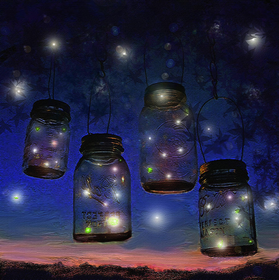 one-summer-night-with-fireflies-jane-schnetlage