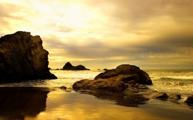 loneliness.sea