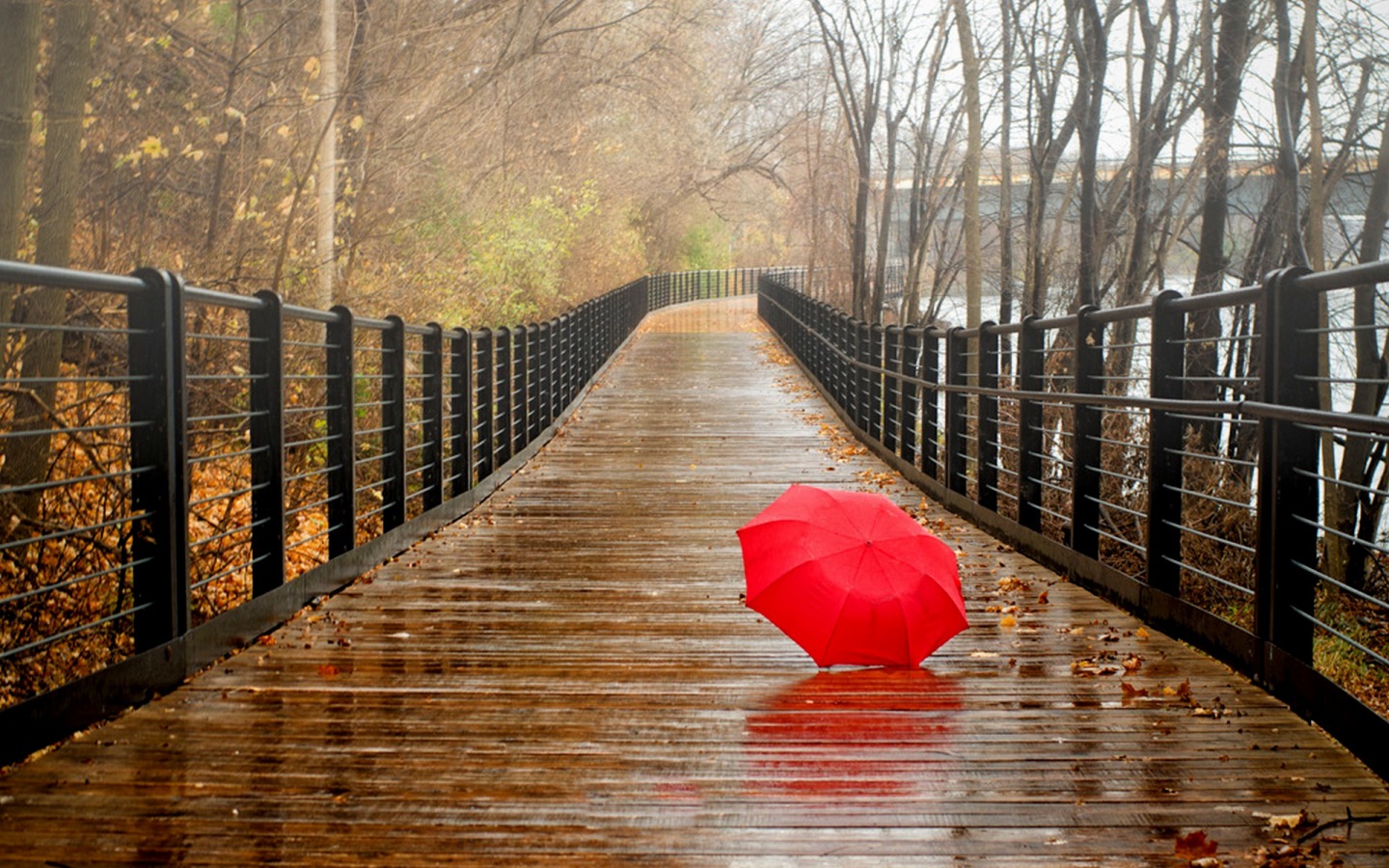 rainy-day-hd-wallpaper