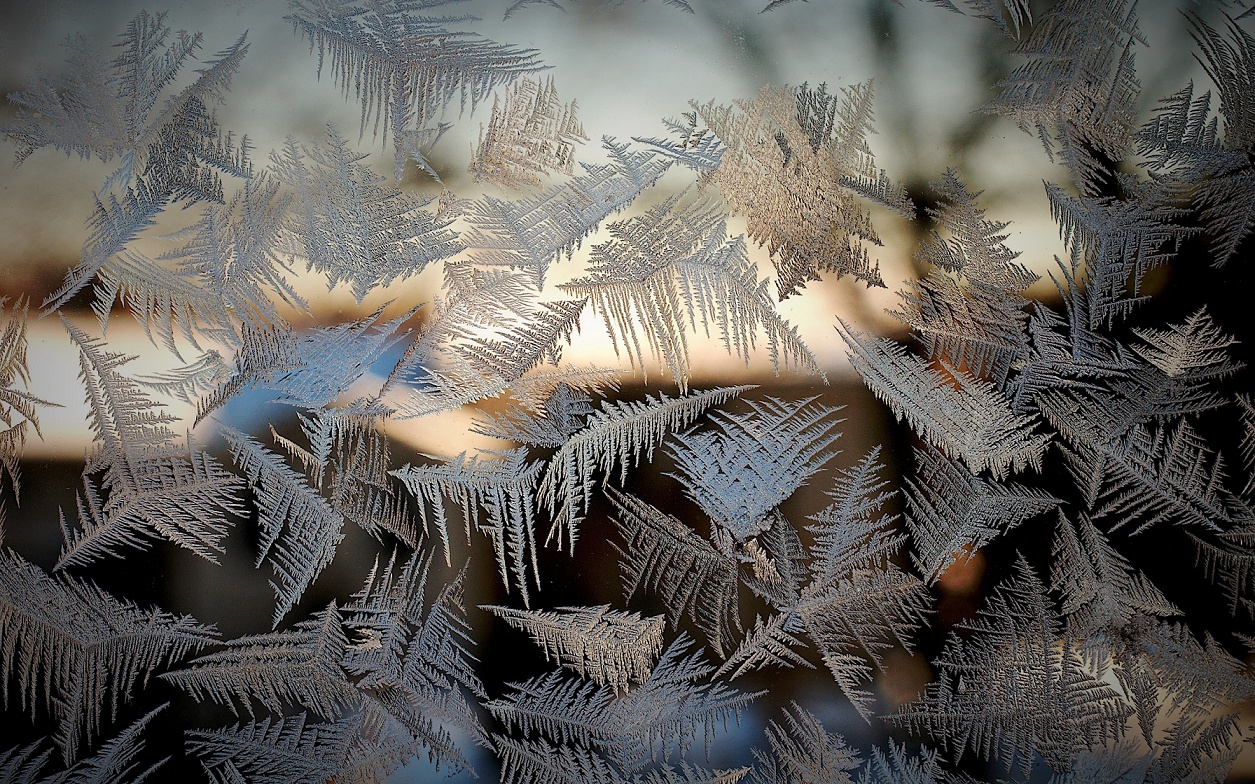 frost_on_the_glass_patterns_window_bokeh_winter_2560x1600 (2)