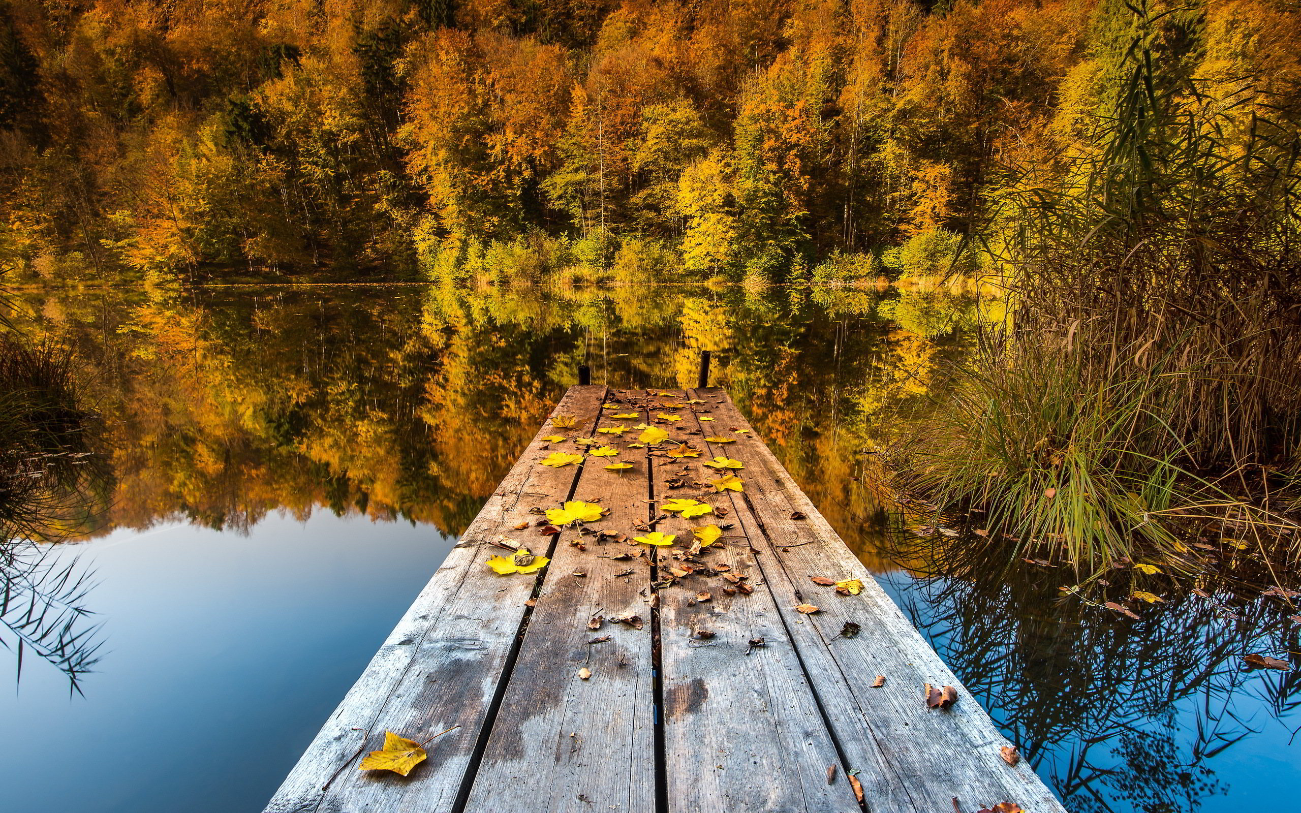 autumn-5